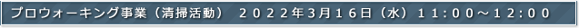 プロウォーキング事業