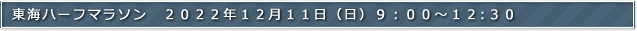 東海ハーフマラソン