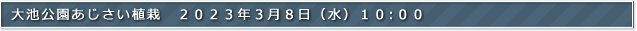 大池公園あじさい植栽